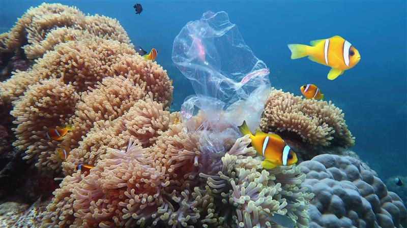 Global plastics treaty: final round of negotiations gets underway thumbnail
