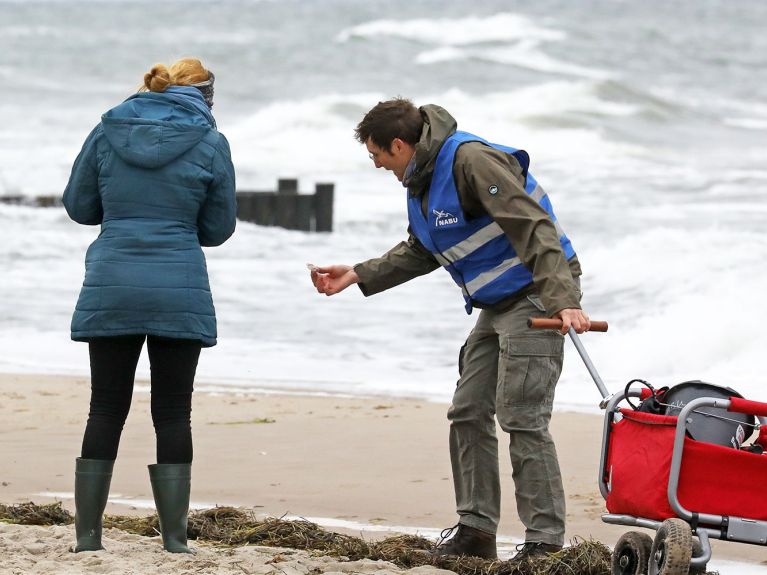 أيضا على شاطئ بحر البلطيق يقوم المتطوعون بجمع الفضلات