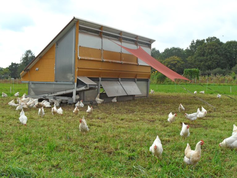 Mobile Hühnerställe stehen auf den Wiesen.