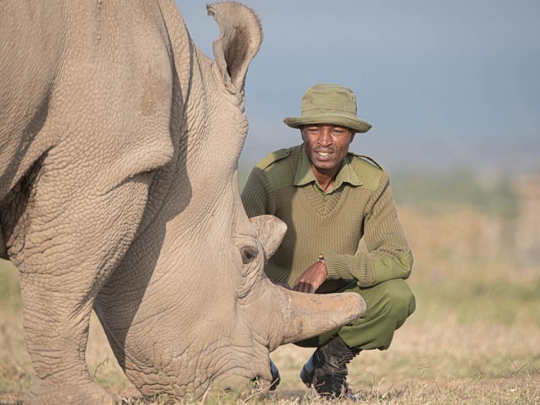奥尔佩杰塔的首席饲养员扎卡里亚·穆塔伊和他看护的北部白犀牛。