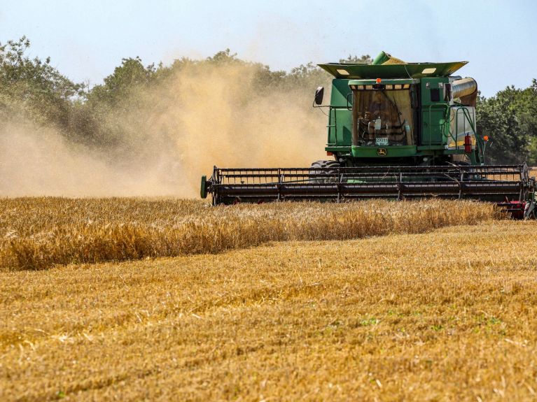 La récolte des céréales en Ukraine