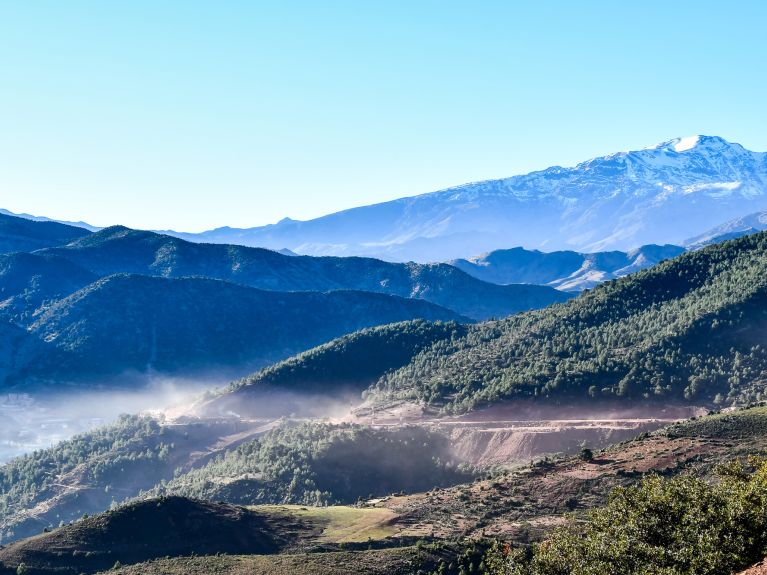 في جبال أطلس يوجد أكبر مخزون من أشجار الأرز في المغرب.