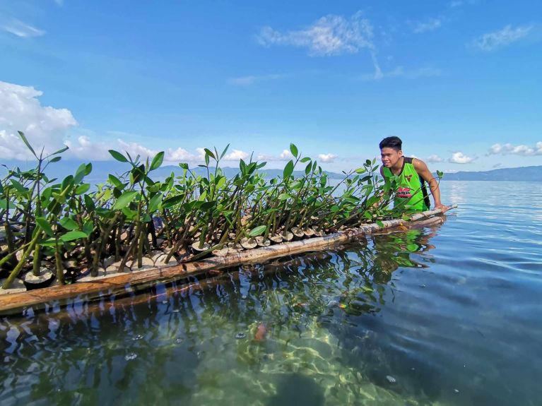 Aux Philippines, Click a Tree plante des palétuviers et retire en outre de l’océan un kilogramme de déchets plastiques par arbre planté. 