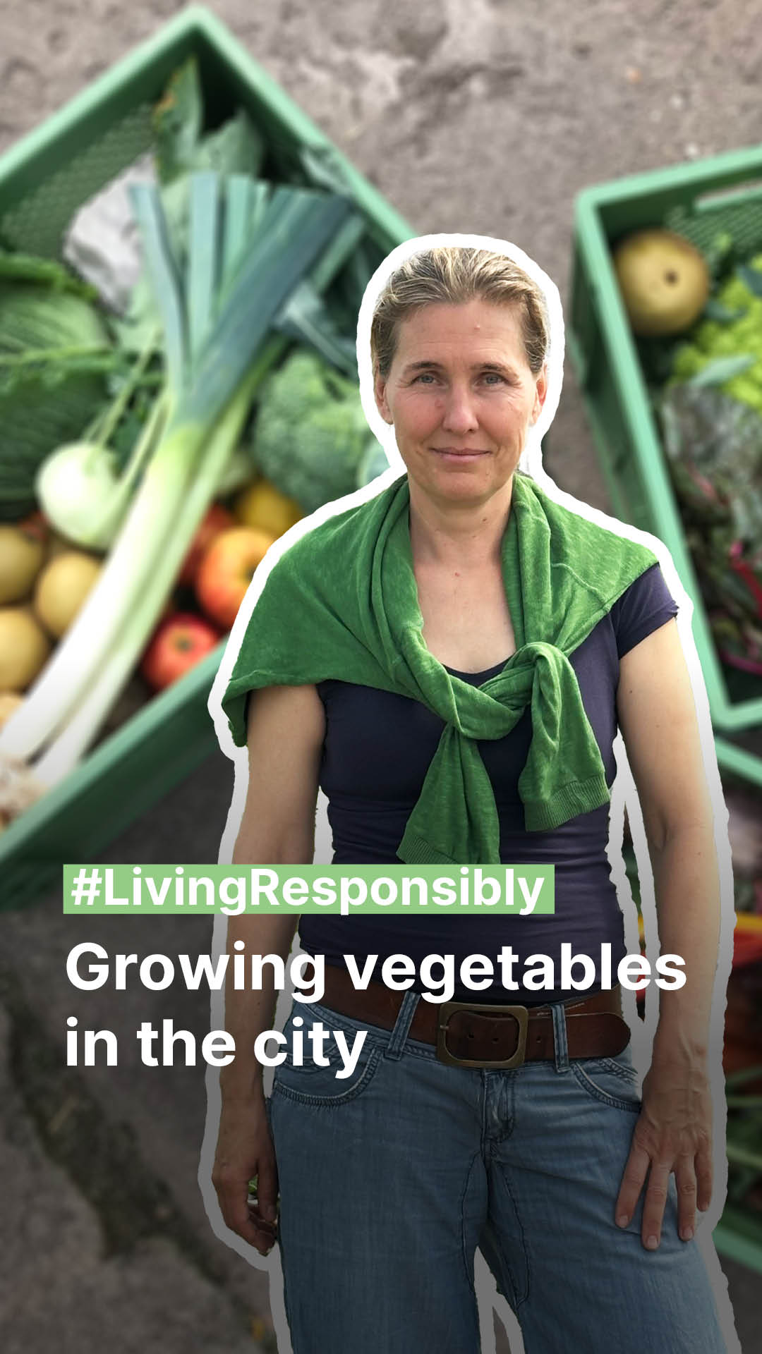 Growing vegetables in the city