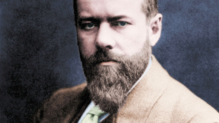 Die MaxWeberStiftung