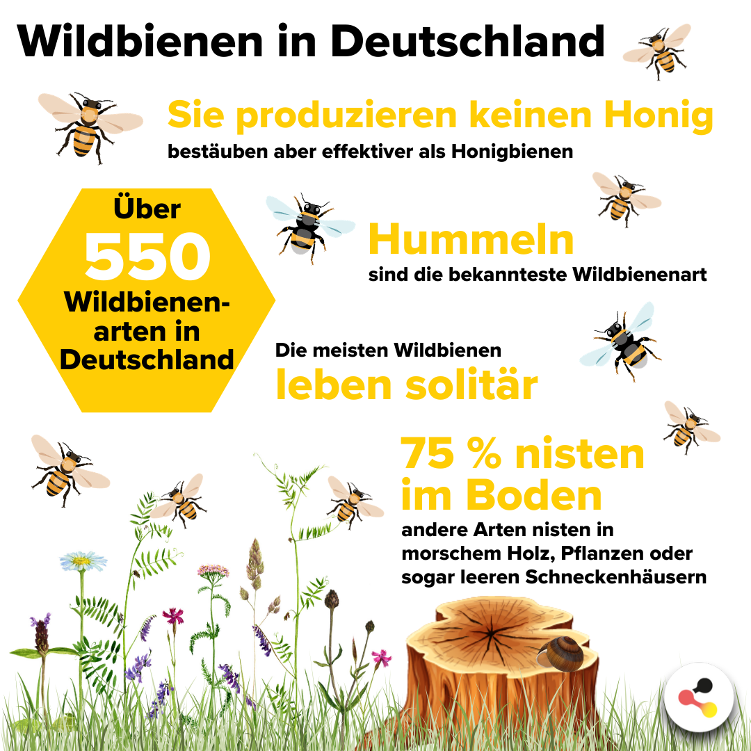 Biodiversität