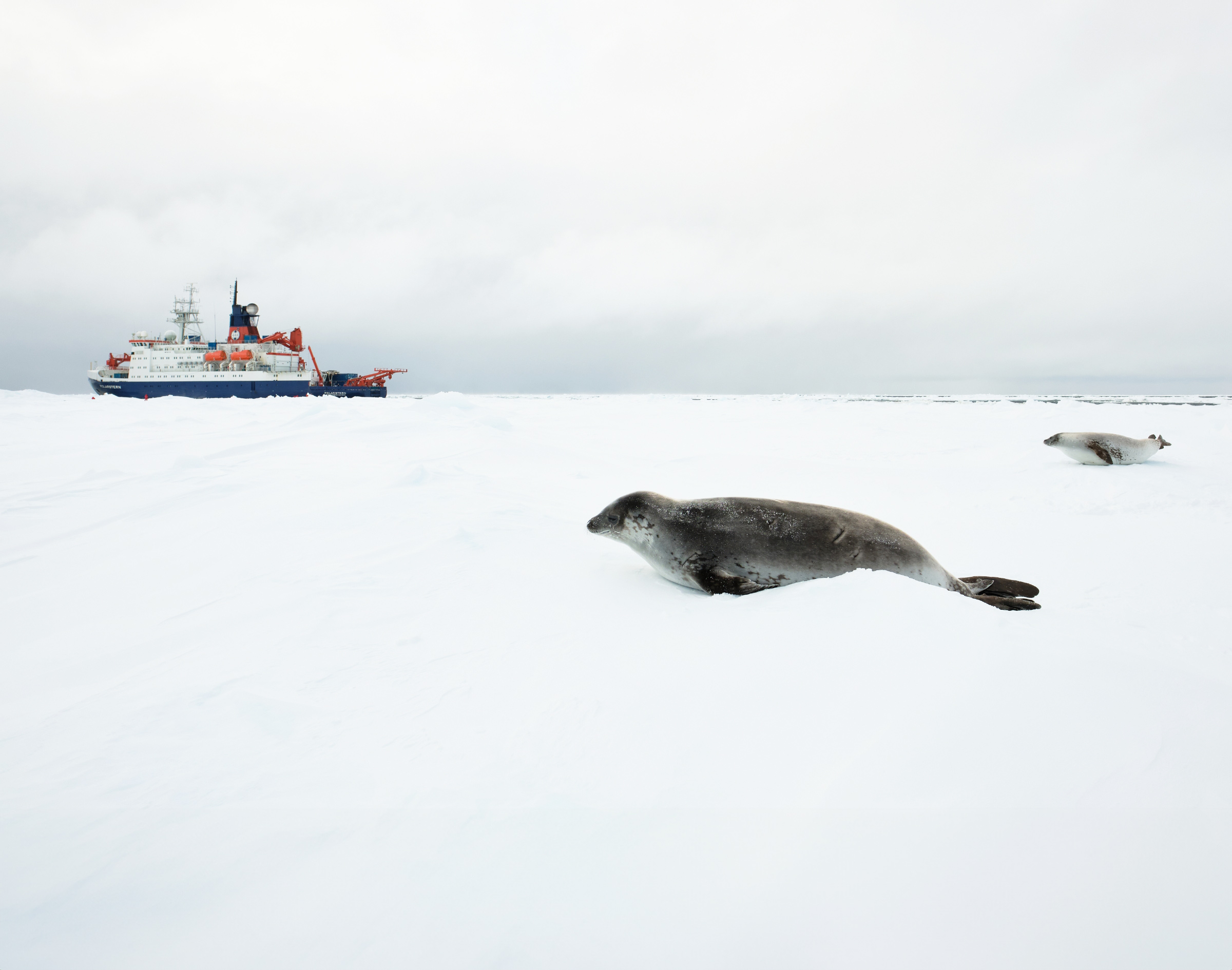 Forschungsschiff Polarstern startet Antarktis-Mission