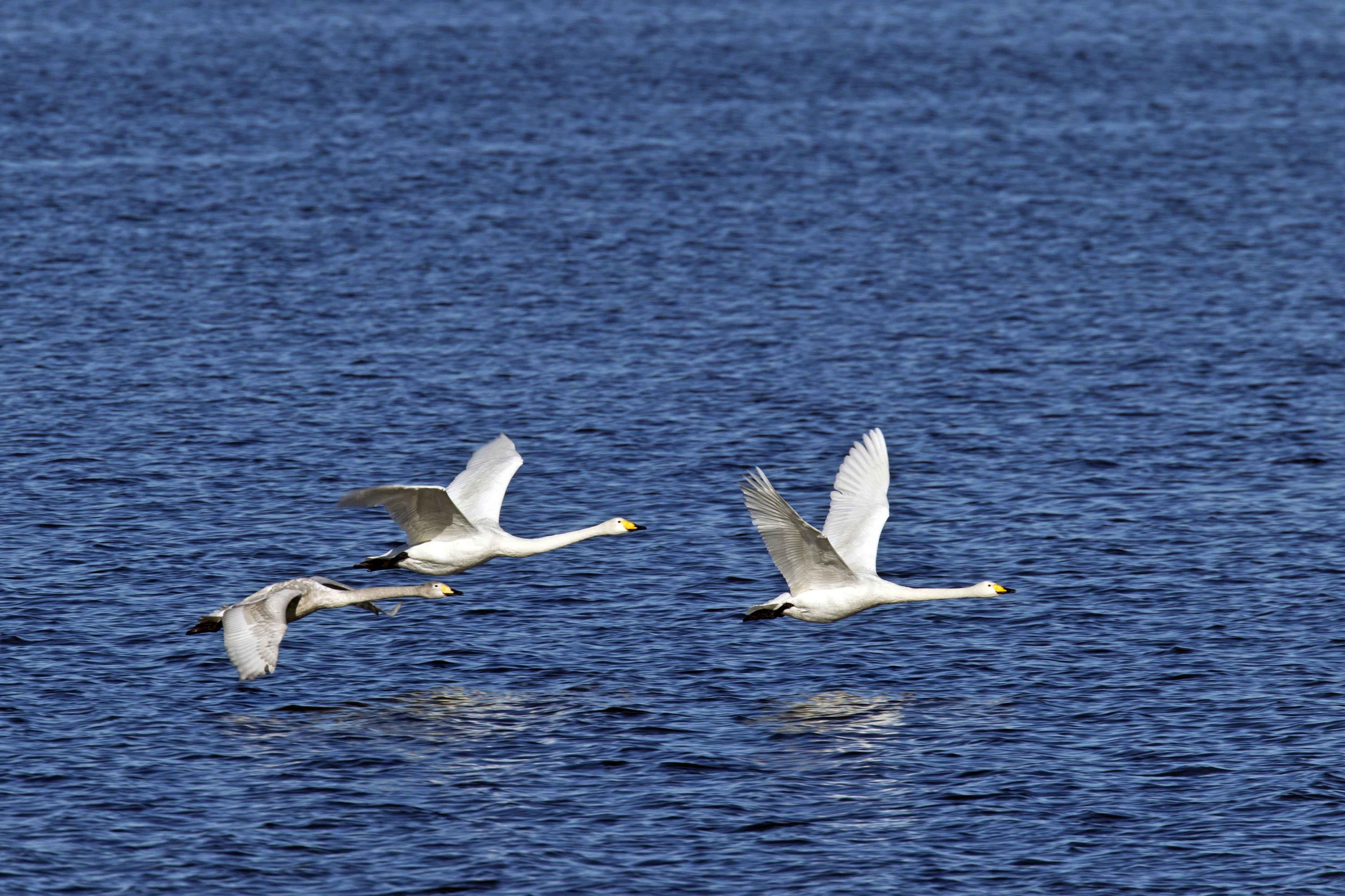 Investing millions in marine protection Investing millions in marine protection
