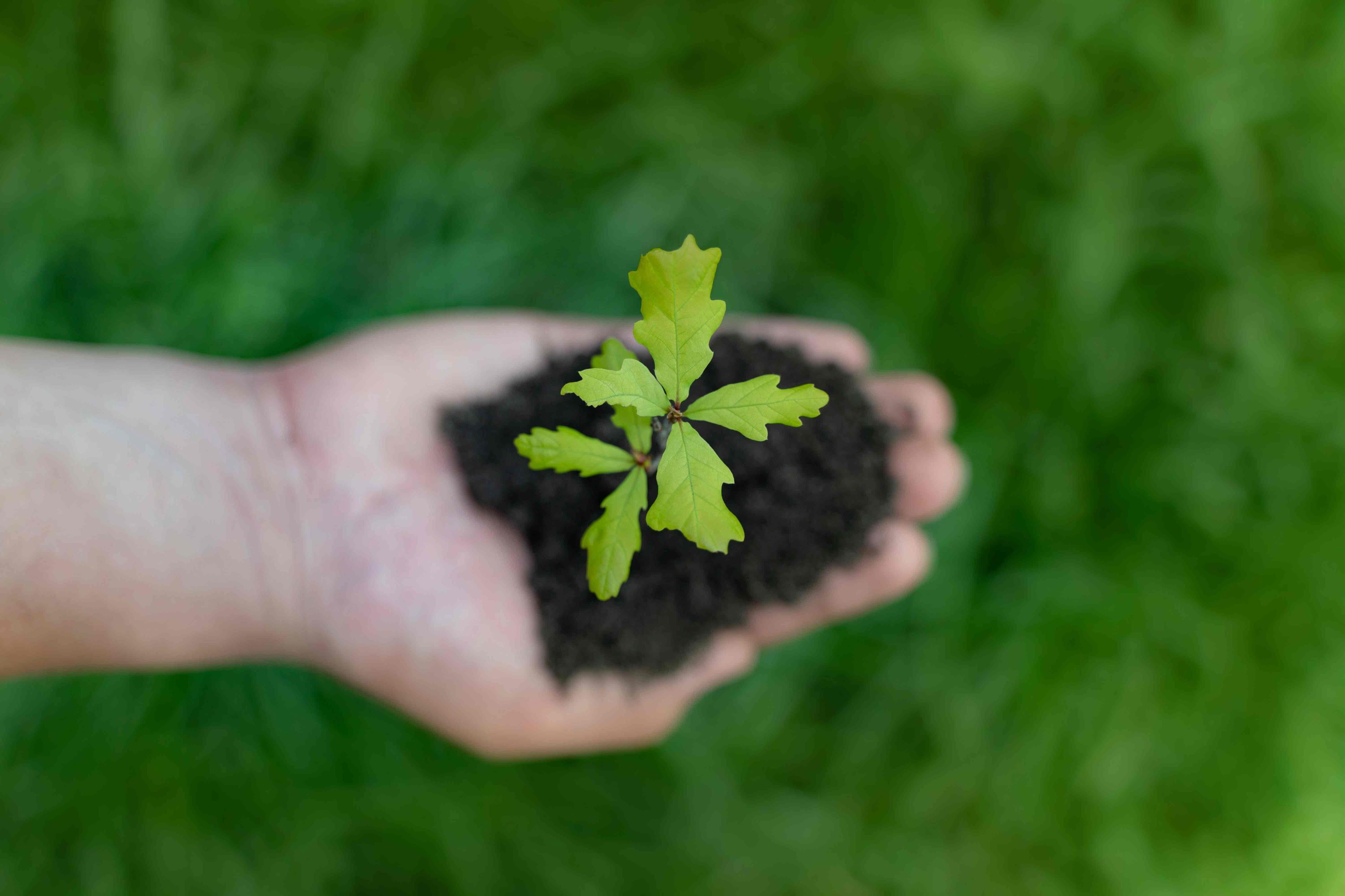 Germans see environmental protection as a central task