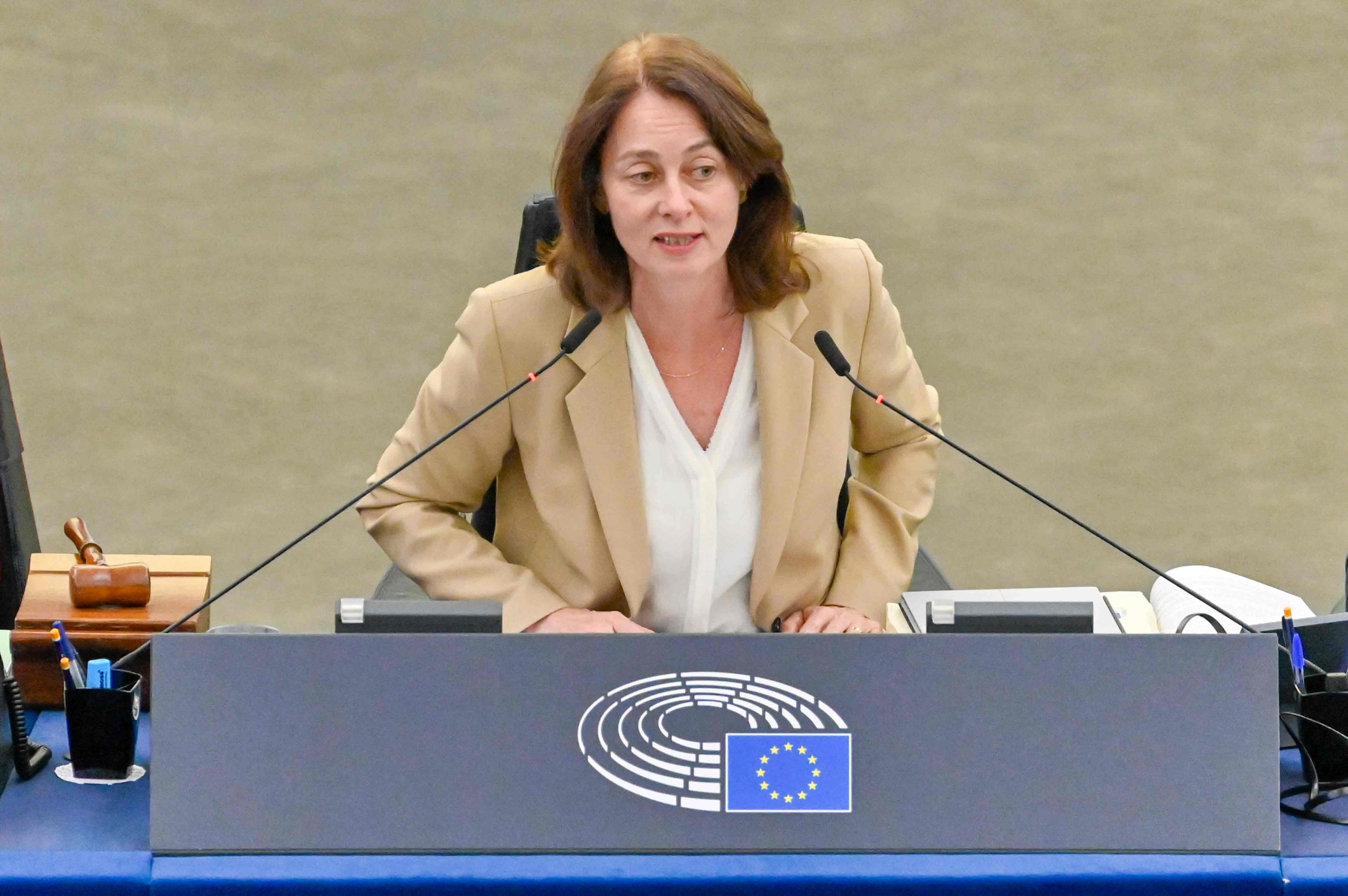 Putin is trying to influence EU elections