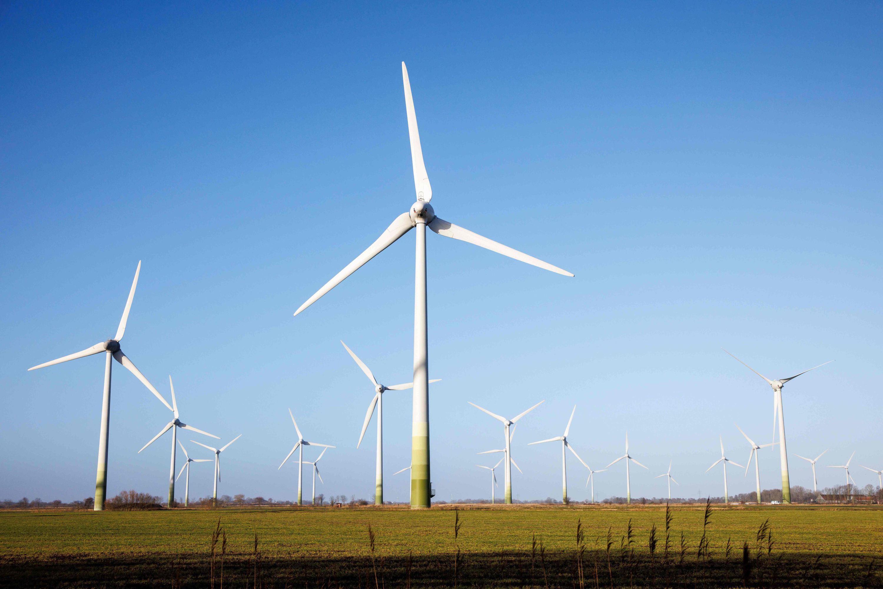 Wind power is Germany’s main source of electricity