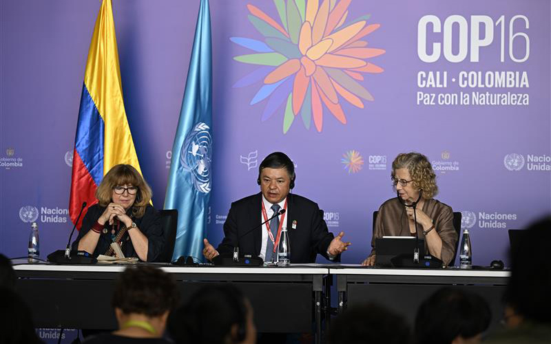 COP16 ends without a financial plan, Germany increases support COP16 ends without a financial plan, Germany increases support