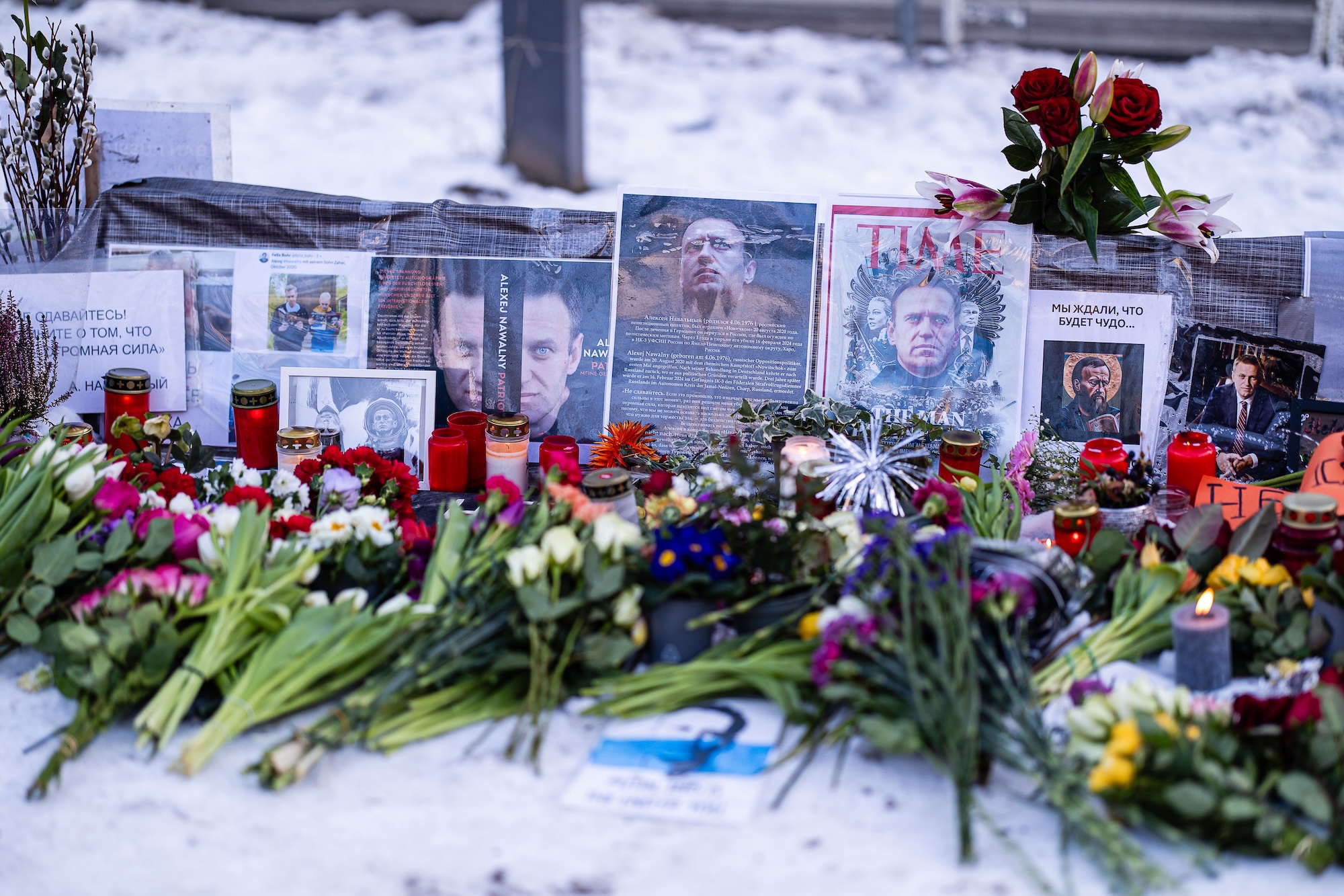 Navalny died of nerve toxin Navalny died of nerve toxin