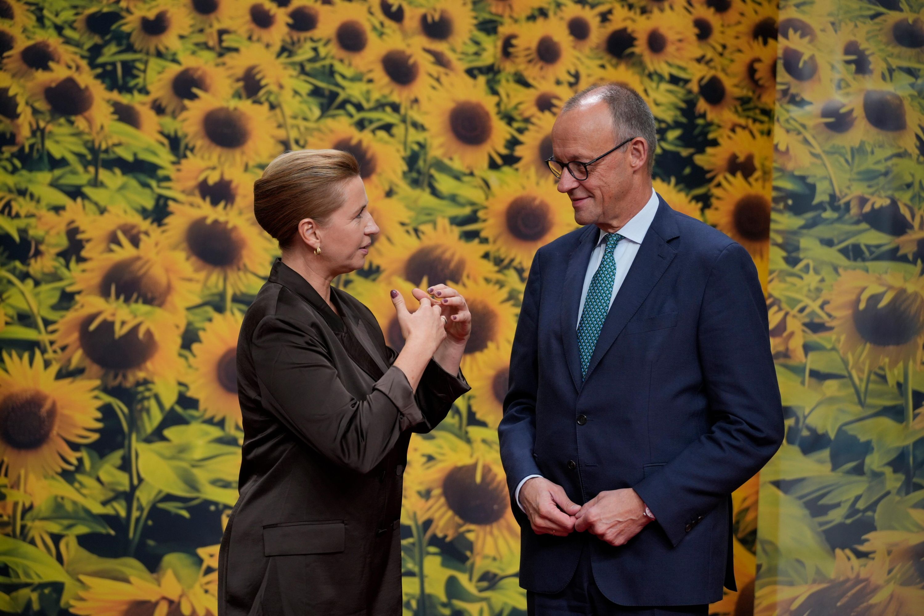European summit: Merz continues talks in Copenhagen thumbnail