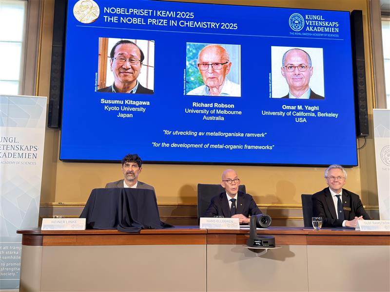 Humboldt Foundation fellows honoured