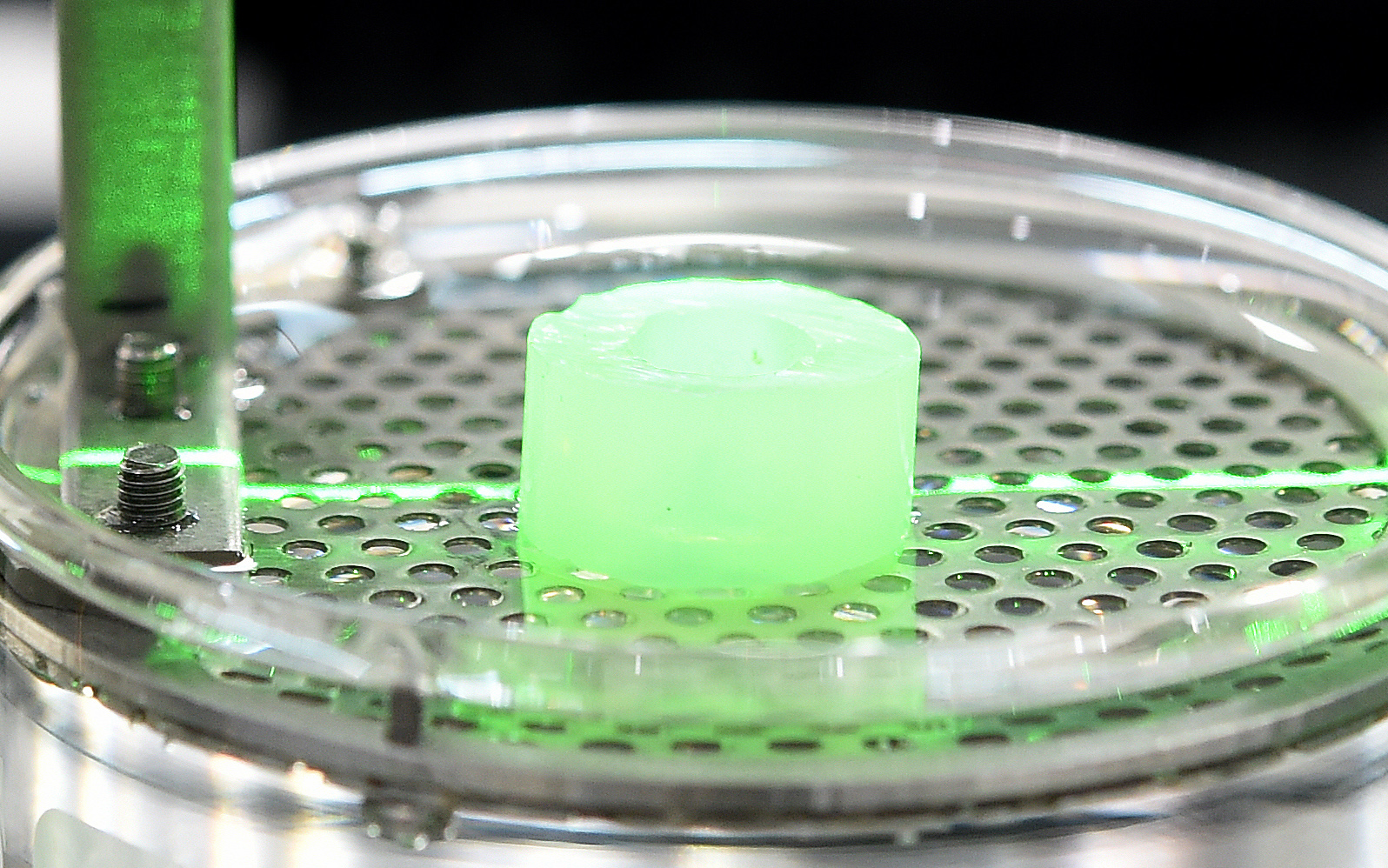 Researchers extract “bioinks” from microalgae Researchers extract “bioinks” from microalgae