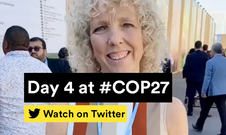 Day 4 at COP27