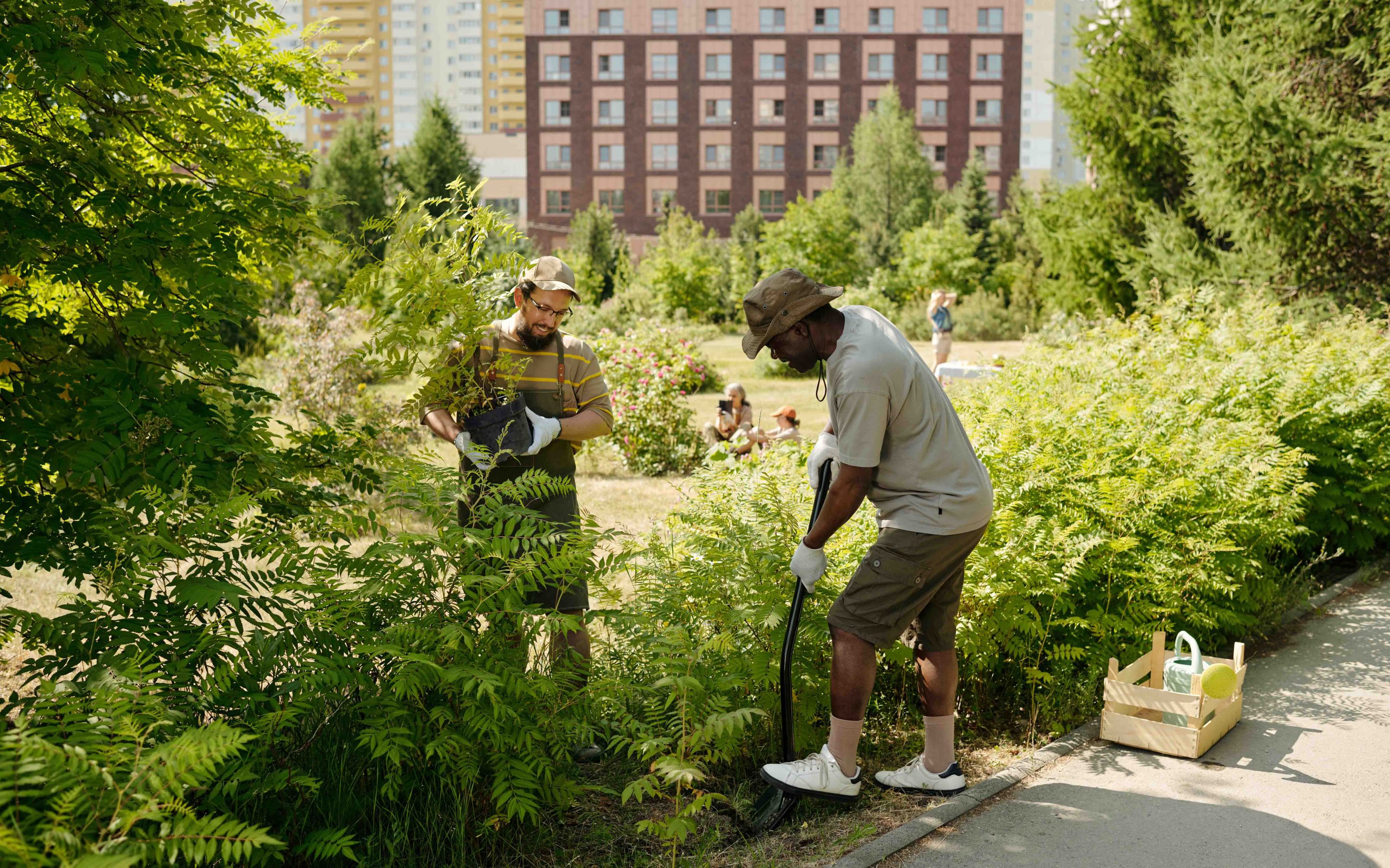 Gemüse ersetzt Beton: Gartenarbeit zusammen Gemüse ersetzt Beton: Gartenarbeit zusammen