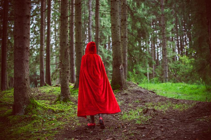 „Baśnie ułatwiają nam porozumienie się”