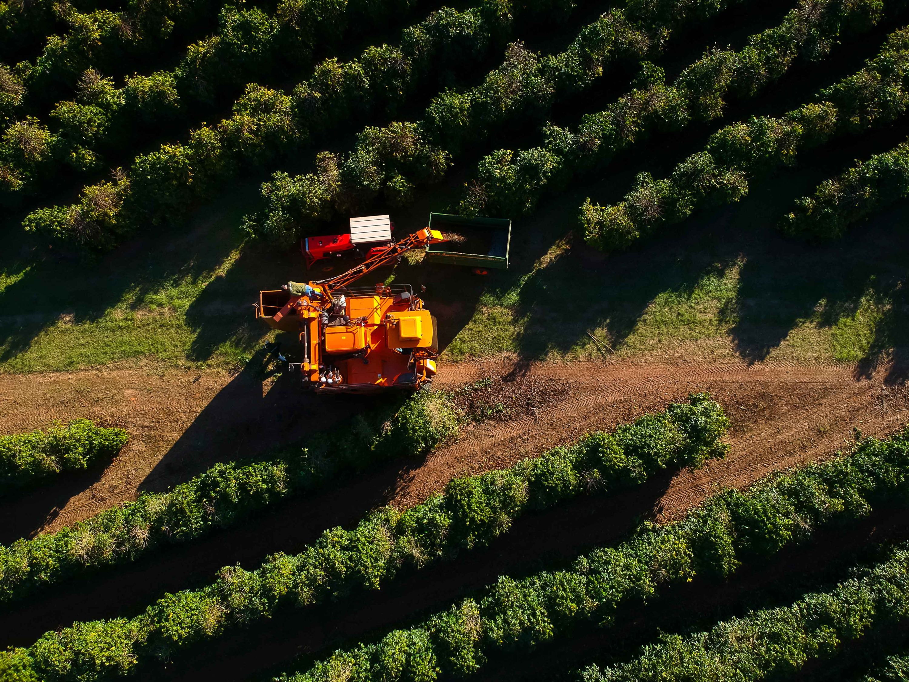 EU countries vote for Mercosur free trade agreement