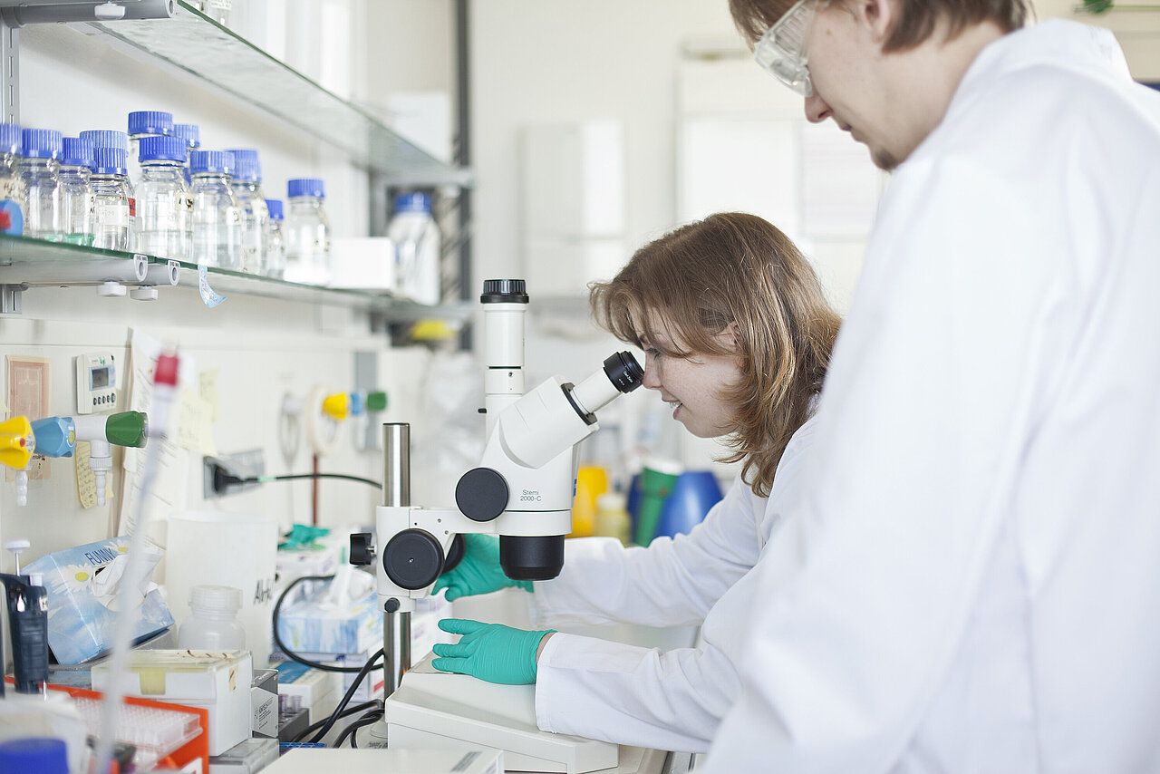 Cząsteczki i coś więcej: Studiowanie chemii w Niemczech