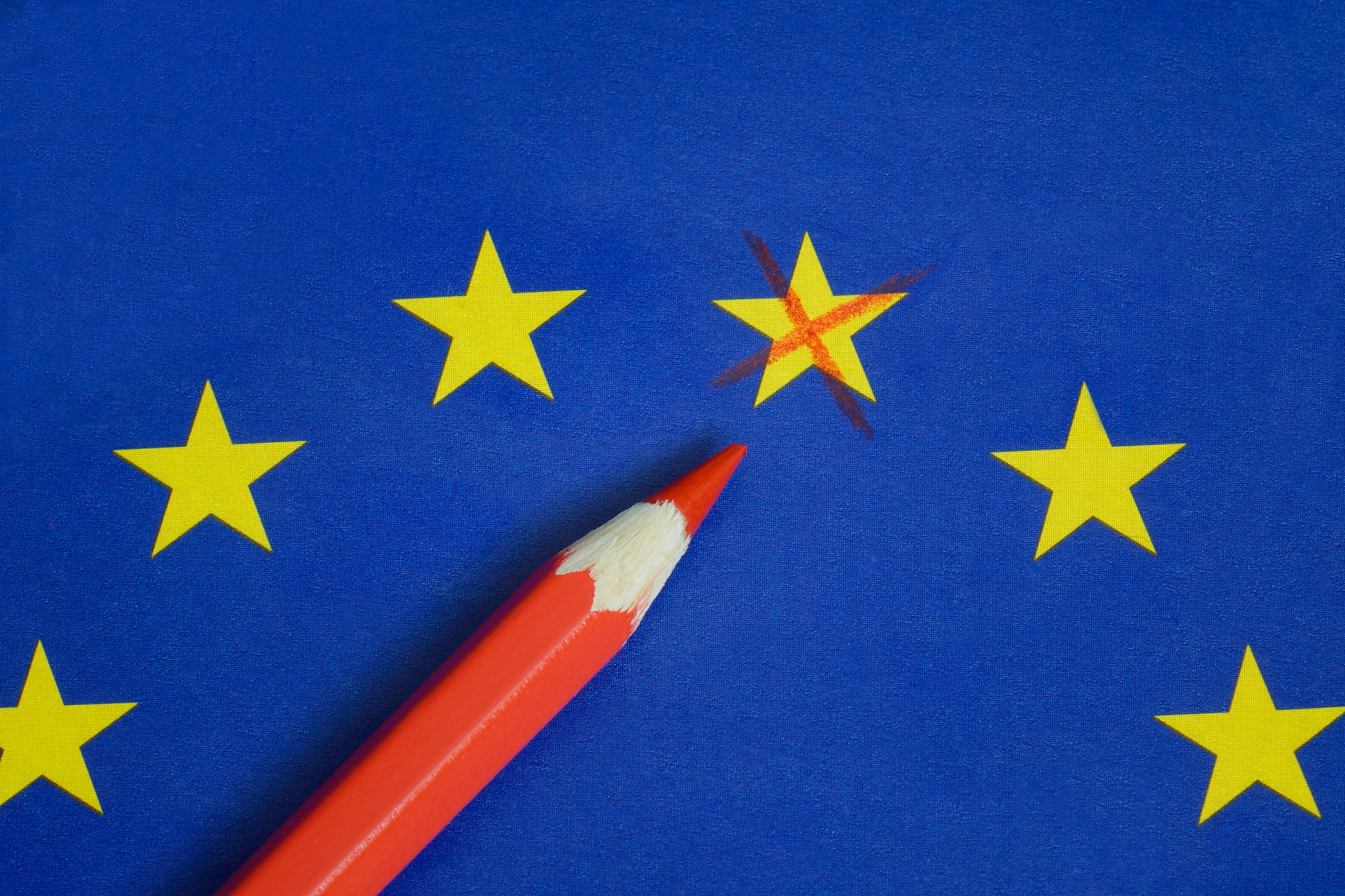 Europawahl 2019 Ablauf, Bedeutung und Parteien