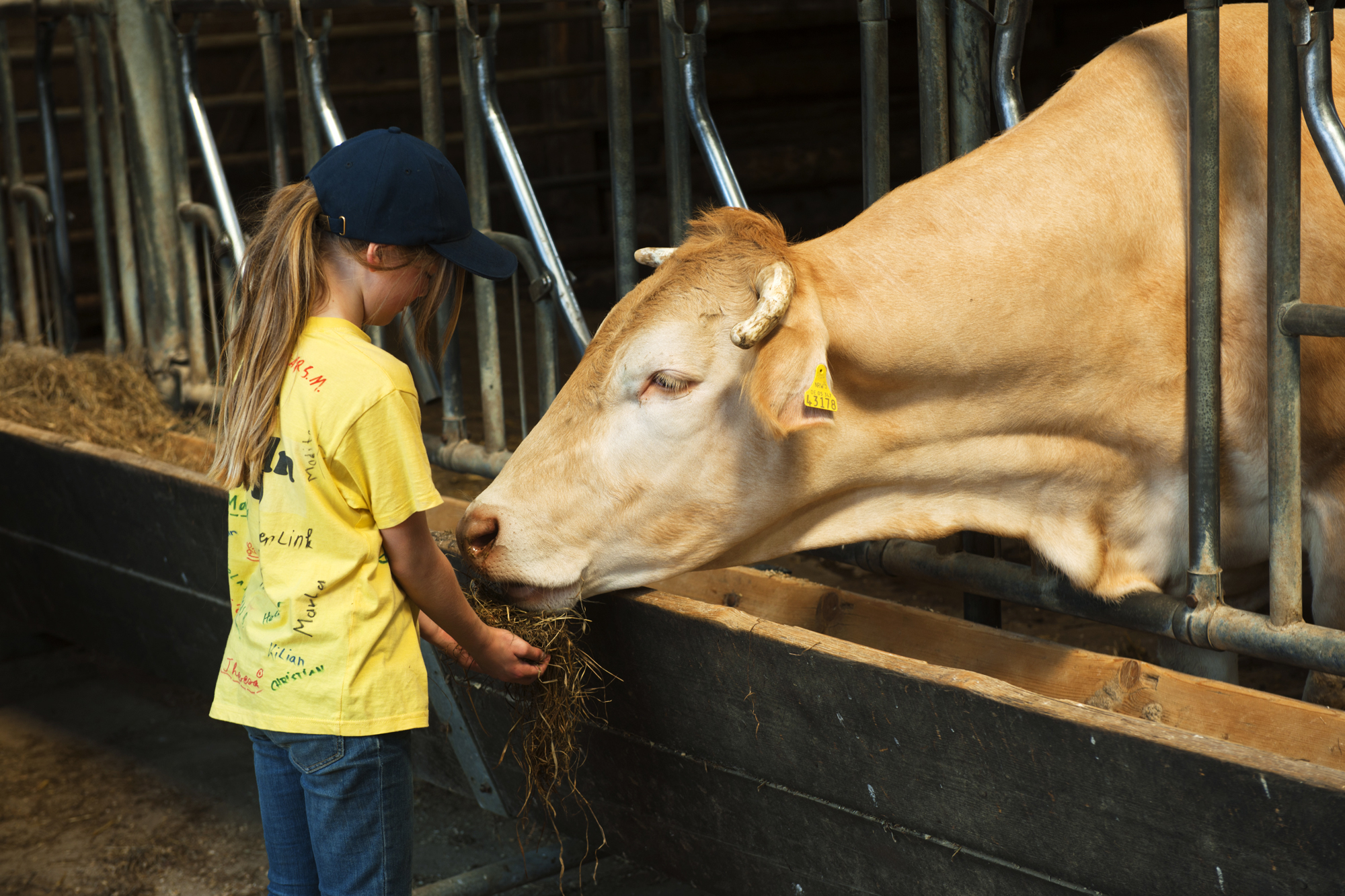 Animal welfare initiatives in Germany Animal welfare initiatives in Germany