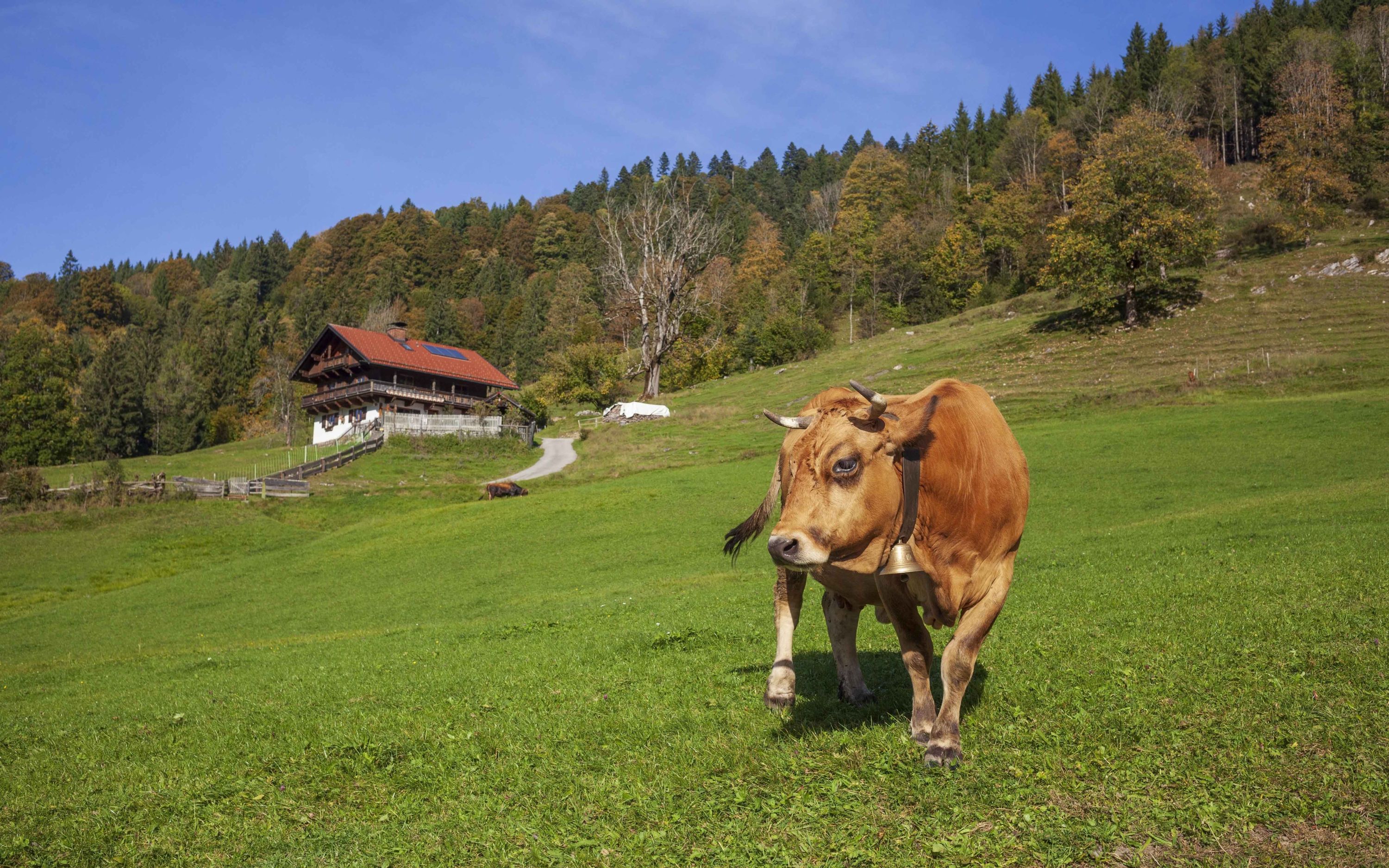 Number of organic farms in Germany is growing Number of organic farms in Germany is growing