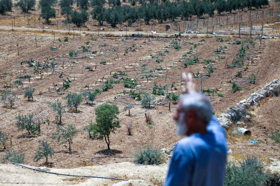 Federal Government criticises settlement plans in the West Bank