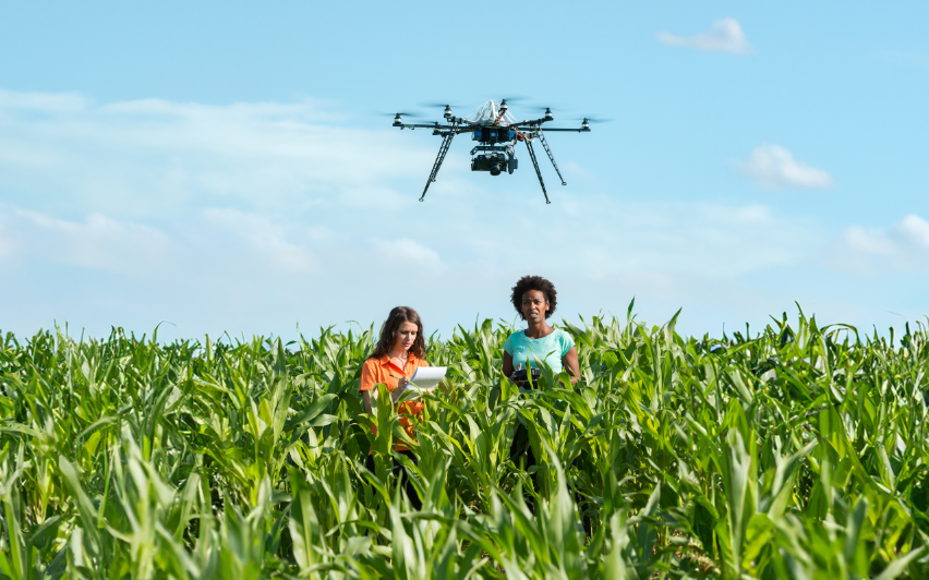 Feldforschung und mehr: Landwirtschaft in Deutschland studieren