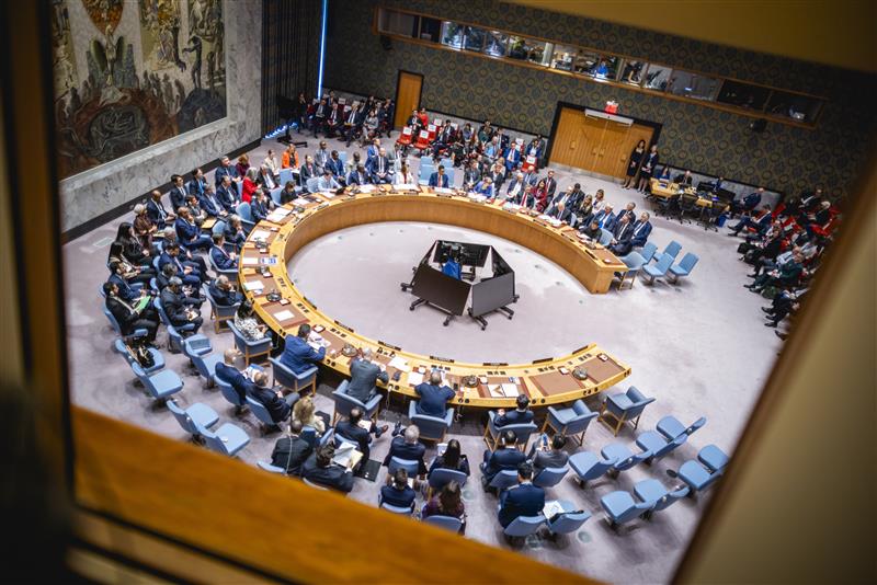 UN safety  Council: Germany wants to take responsibility