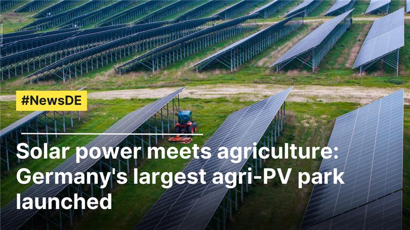 Solar power meets agriculture: Germany's largest agri-PV park launched