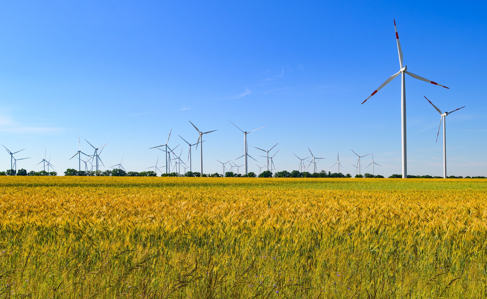 Study: renewable energy as a driver of employment