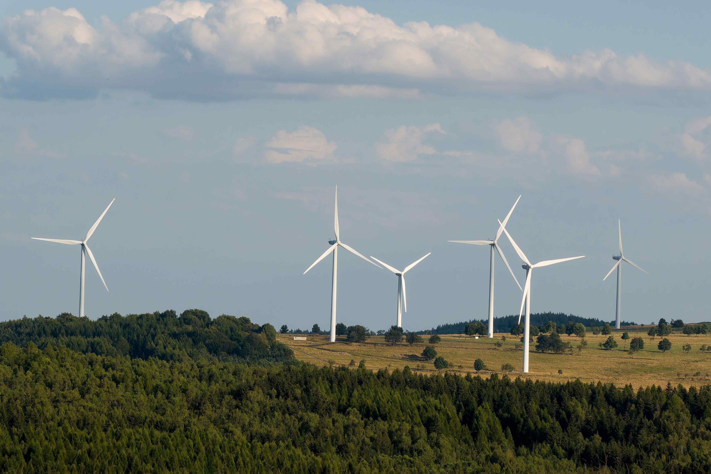 Positive assessment of German climate policy Positive assessment of German climate policy