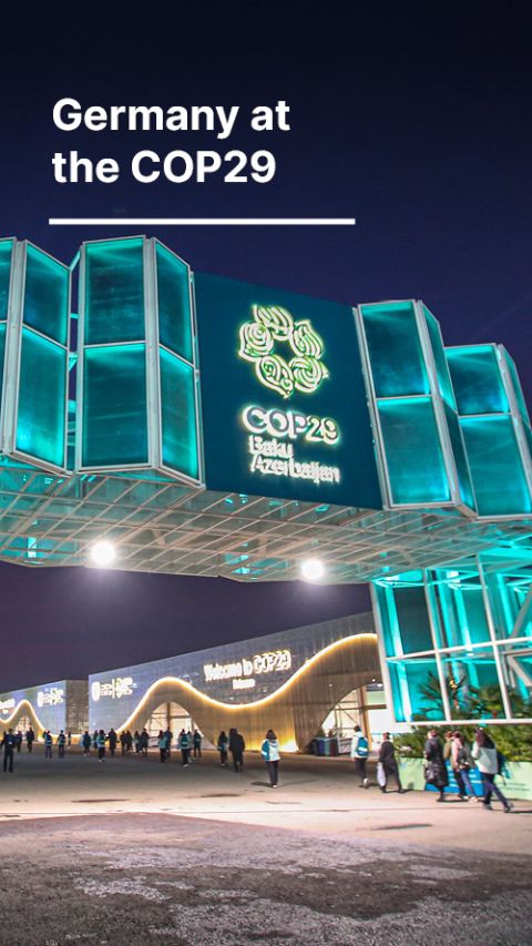 COP29