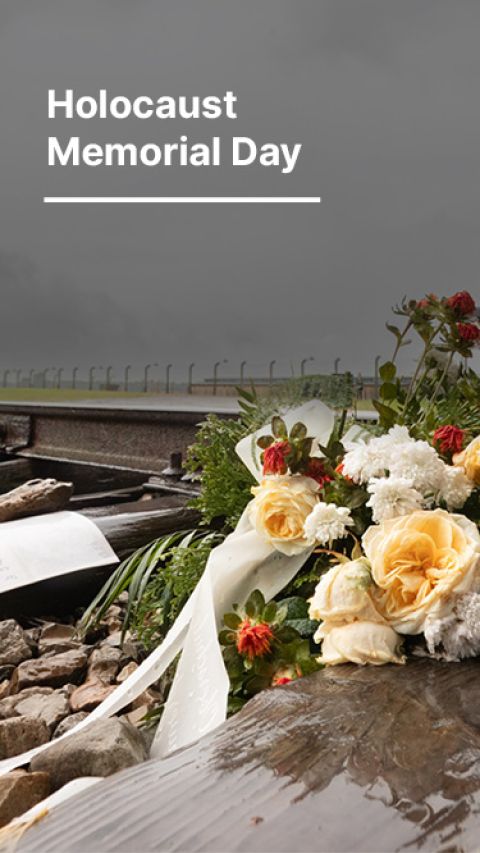 Story Holocaust