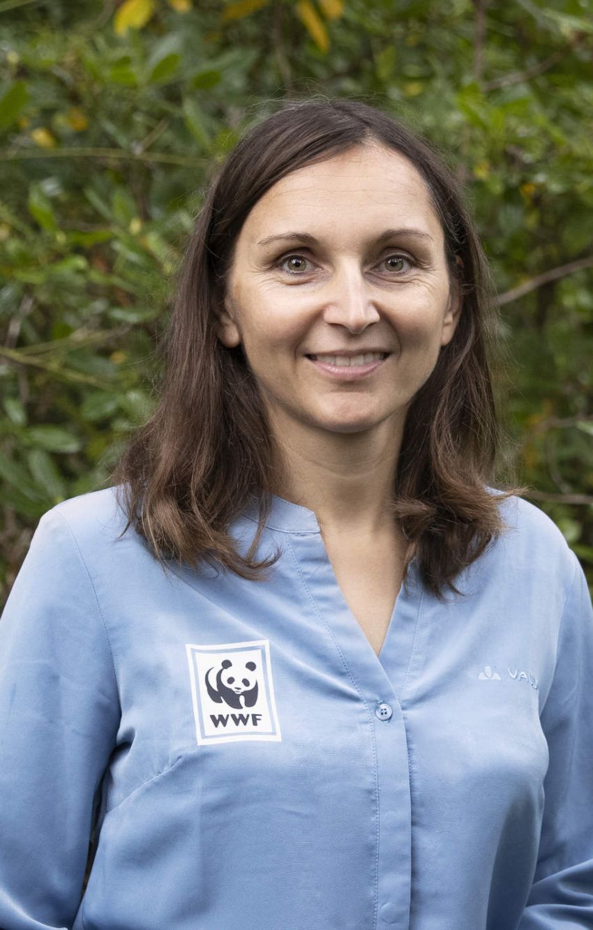 Susanne Gotthardt unterstützt den WWF und andere zivilgesellschaftliche Organisationen in Südostasien, die sich für den Erhalt der Biodiversität einsetzen.  