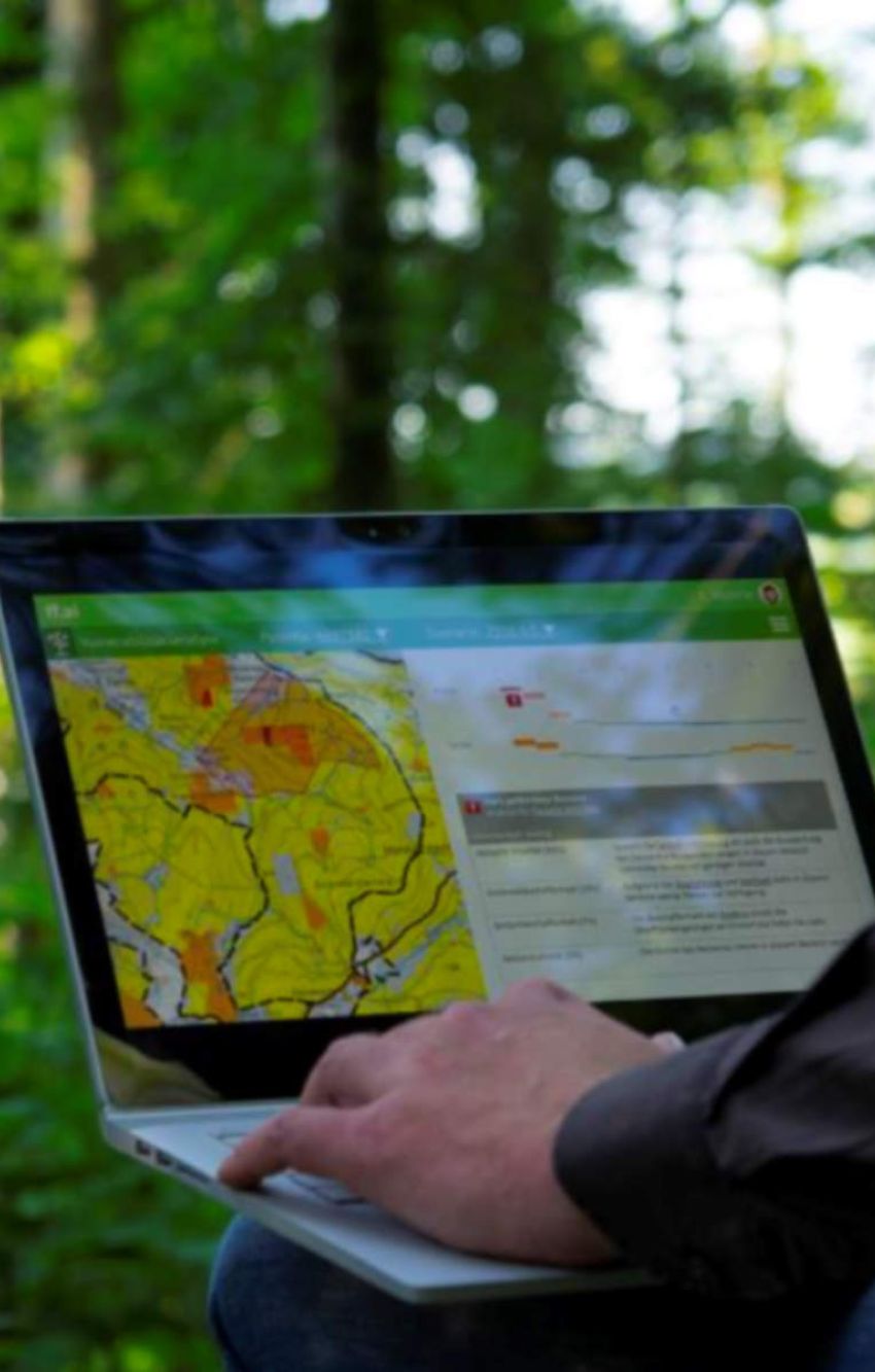 FutureForest plant klimaresistente Wälder mit Hilfe von KI. 