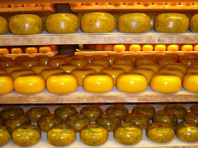 Käse, cheese