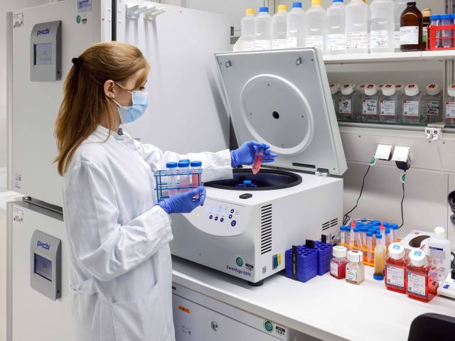 Laborarbeit kann Versuche mit Tieren ersetzen. 