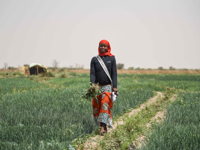 Sahel