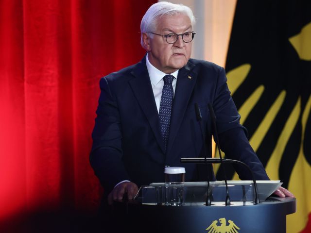 Bundespräsident Steinmeier 