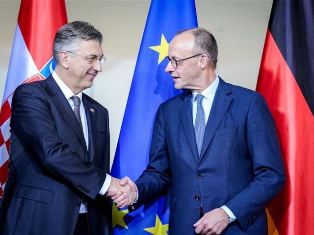 Friedrich Merz (r.) und Andrej Plenković