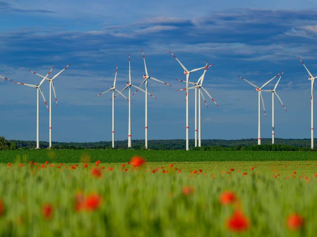 Mehrere Windkraftanlagen erzeugen auf einer landwirtschaftlichen Fläche umweltfreundlichen Strom aus erneuerbaren Energien.