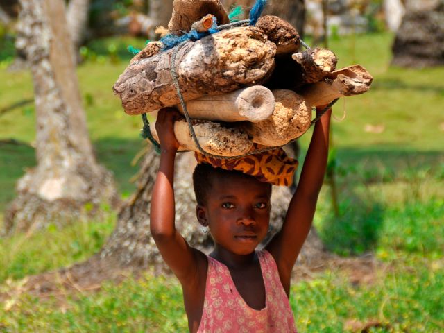 Ein Mädchen transportiert Brennholz