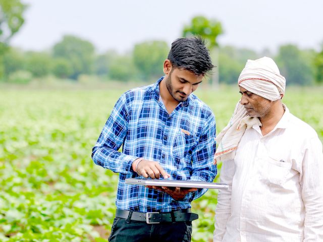 Indischer Bauer mit einem Berater auf einem Baumwollfeld