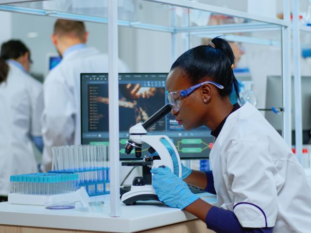 Internationale Forschende in Deutschland.