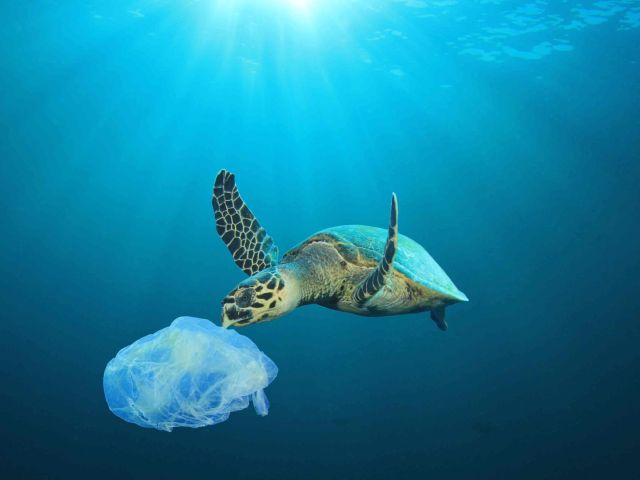 In den Meeren der Welt treibt zu viel Plastikmüll. 