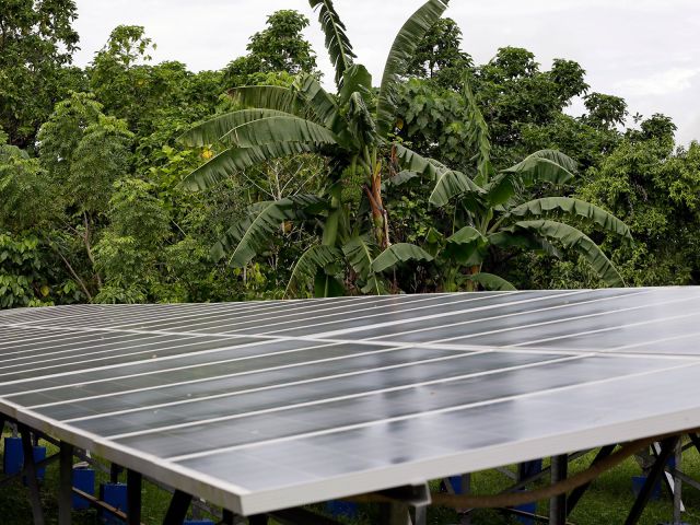Solarzellen in indonesischem Wald 