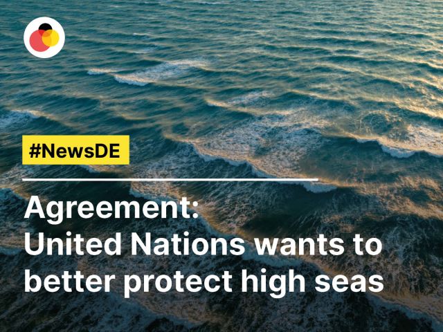 Agreement: United Nations wants to better protect high seas